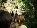 Knut_Juni07_big_03