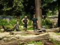 Knut_Juni07_big_07