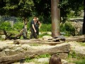 Knut_Juni07_big_08