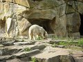 Knut_Sept08_big_25